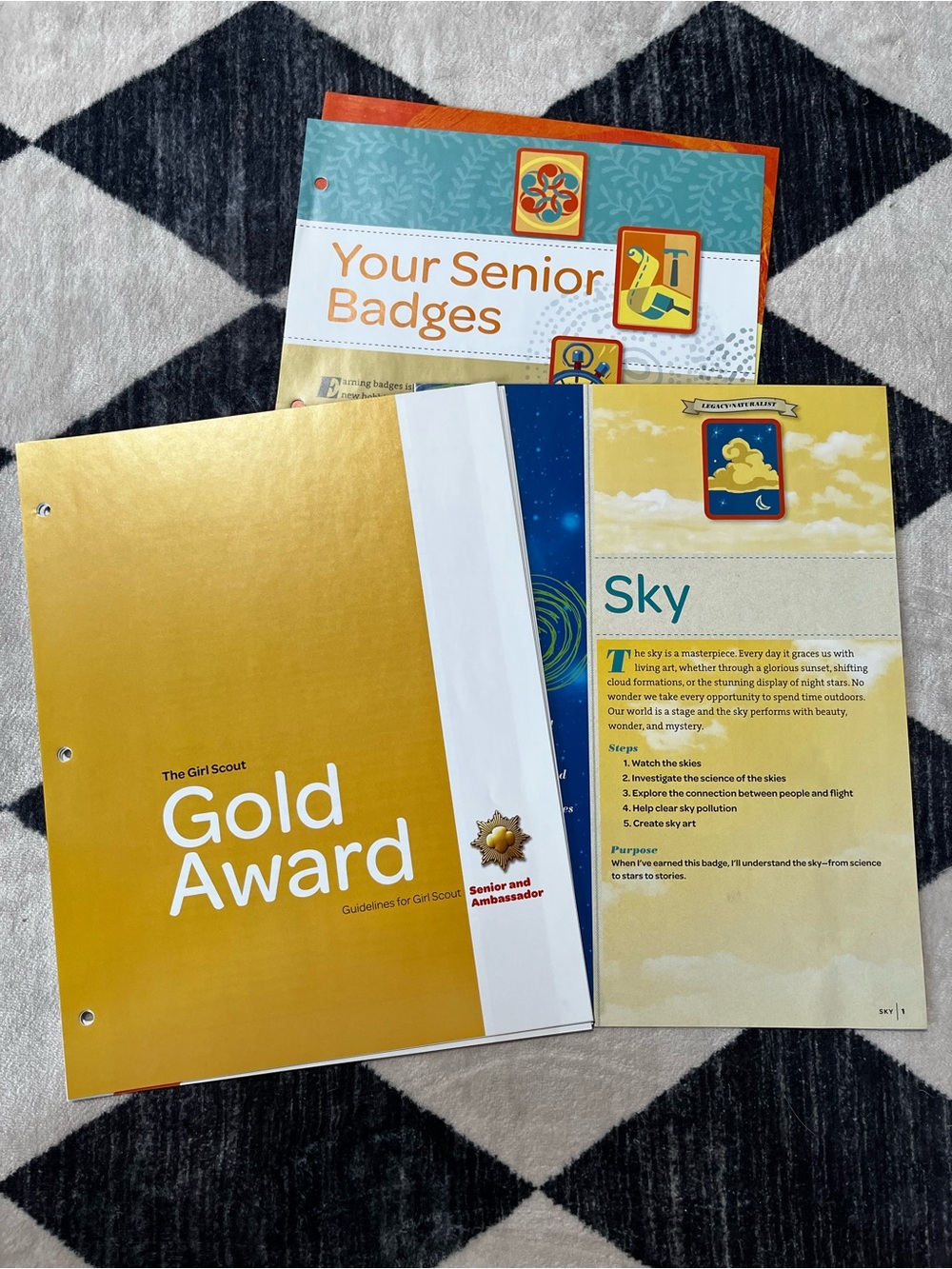 Senior Badge Guides